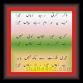 Hamid Ashrif Naqvi 01 * 22.03.2008 * 317 x 808 * (33KB)
